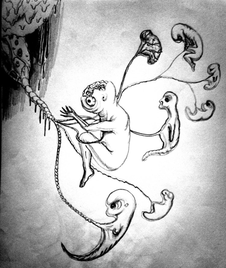 Embrioni mutanti cu malformatii desen in creion