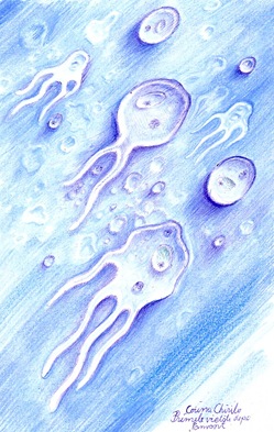 Primele vietati de pe Pamant - Primele forme de viata eucariote