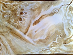 Bitter sweet passion