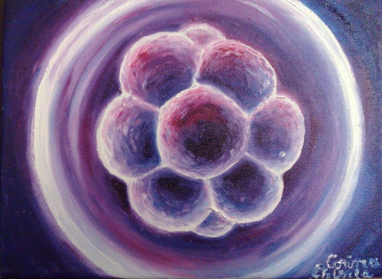 Morula, pictura ulei pe panza