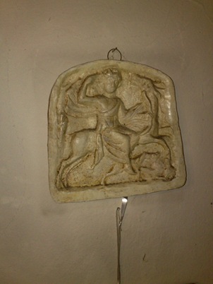 O amazoana facuta de Olga Chirila strabunica mea