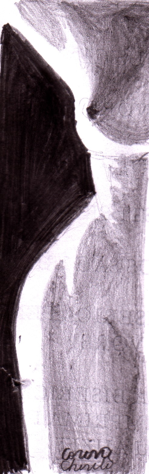 Nud feminin pe jumatate desen in creion