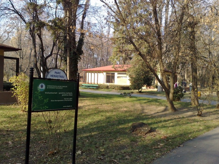 Asociatia Artistilor Plastici din Bucuresti risca sa piarda si galeria din Herastrau