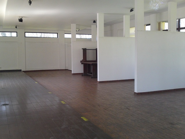 Galeria de arta Herastrau inchisa