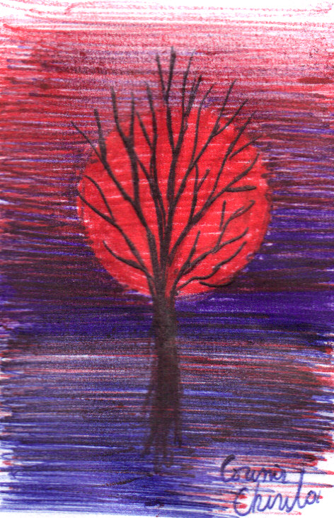 a-tree-in-the-sunset-ball-point-pen-drawing