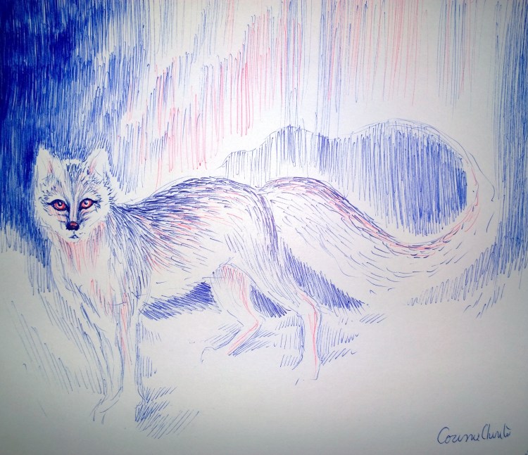 legenda-scandinava-a-aurorei-boreale-desen-facut-cu-pixul