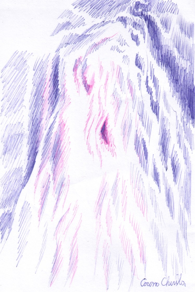 mireasa-desenata-spontan